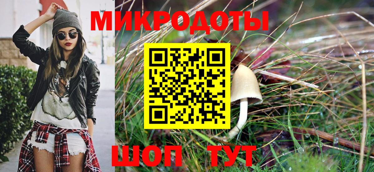 Галлюциногенные грибы Psilocybe  купить наркотики цена  Красноуфимск  Вход с VPN 